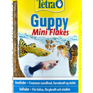 tetraguppy fra tetra